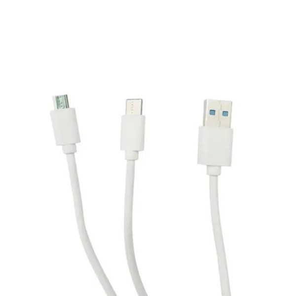 2 NI 1 USB to Type C And Micro USB Fast Charge Cable