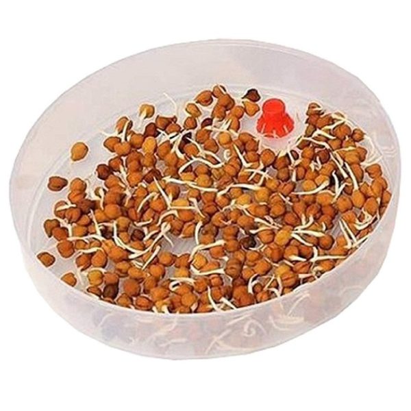Multipurpose 2-Layer Sprout Maker - Image 2