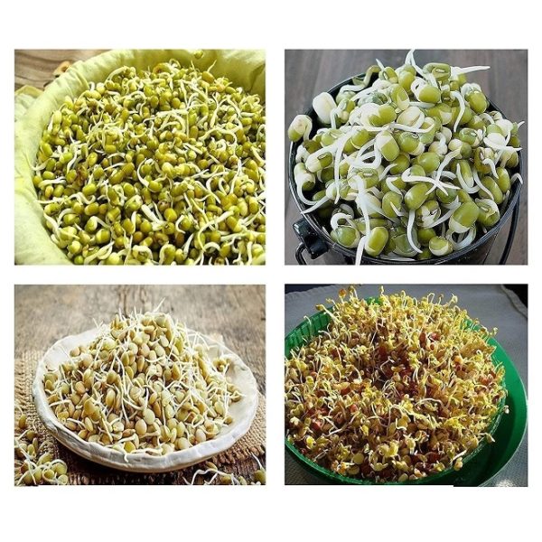 Multipurpose 2-Layer Sprout Maker - Image 3