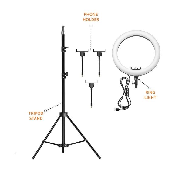 AB 14-inch Ring Light with Tripod and Dual Temperature Modes - Image 3