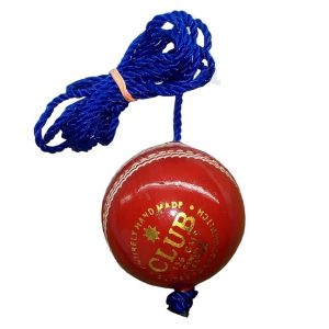 Dynex Genuine Leather Hanging Cricket Ball for Shot Practice