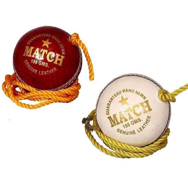Dynex Genuine Leather Hanging Cricket Ball for Shot Practice - Image 2