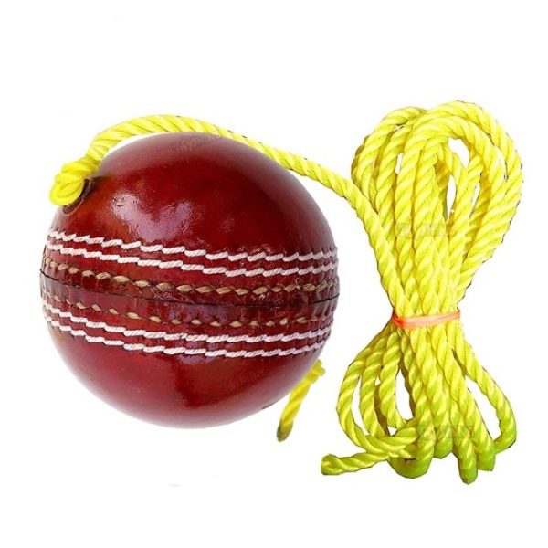 Dynex Genuine Leather Hanging Cricket Ball for Shot Practice - Image 3