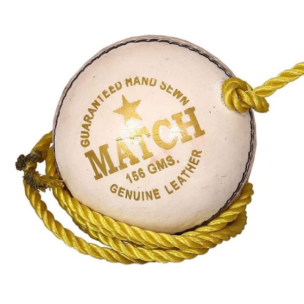 Dynex Genuine Leather Hanging Cricket Ball for Shot Practice - Image 4