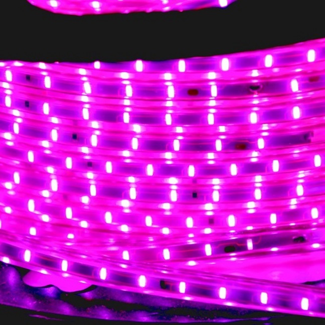 10 Meter Waterproof LED Rope Light (Pink) - Image 2