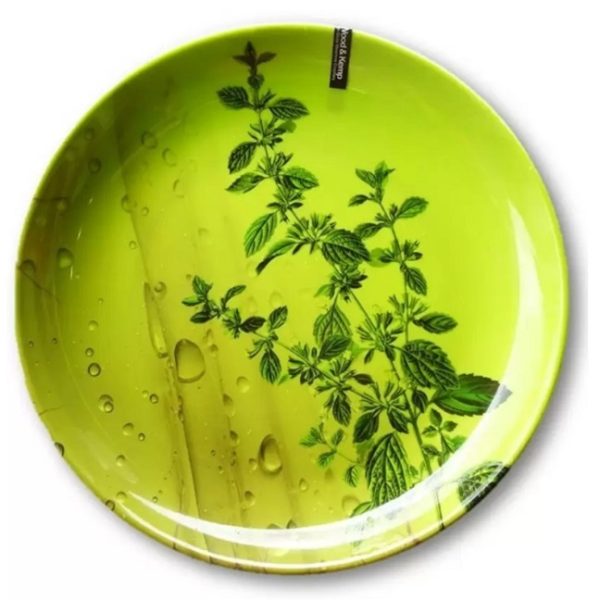Melamine Pudina Leaf Plates 8 Piece Combo Set  (4 Full Plate + 4 Half Plate) - 10.5 inch & 8 inch - Image 3