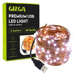 GIZGA Premium USB Copper LED Fairy String Lights (3 Meter)