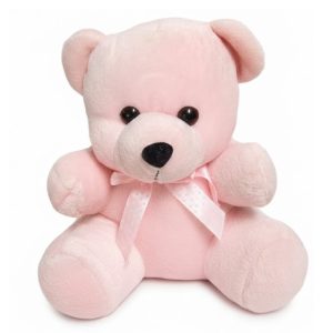 Pink Teddy Small Soft Toy (18 cm)