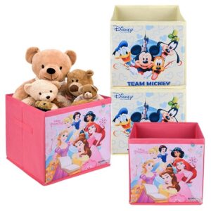 Disney Kids Clothes / Books / Toys / Stationary Organizer (1 piece)