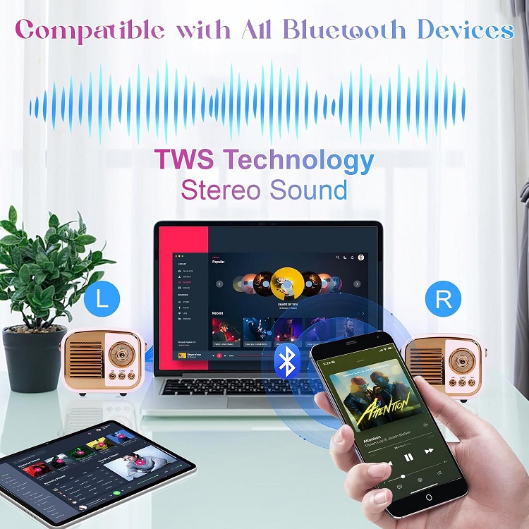 Retro Bluetooth Speaker with inbuilt FM and USB/TF Support - Image 4
